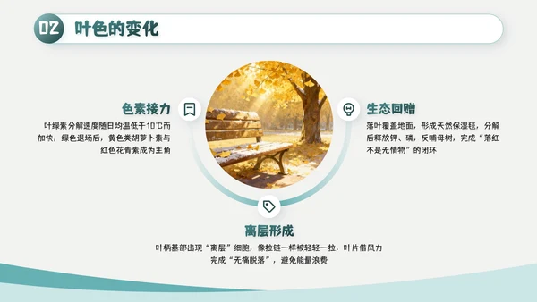 绿色简约风霜降主题班会PPT模板