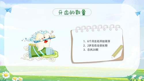 绿色卡通健康成长从齿开始PPT模板宣传PPT动态PPT牙齿