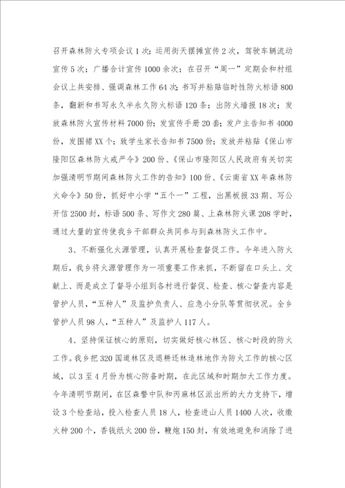 乡镇森林防火工作总结乡镇森林防火工作情况总结