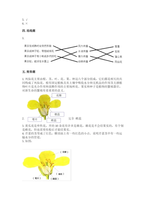 教科版科学四年级下册第一单元《植物的生长变化》测试卷推荐.docx