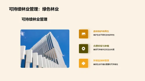木地板：环保新选择