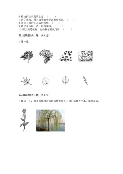 教科版科学一年级上册期末测试卷精品（能力提升）.docx