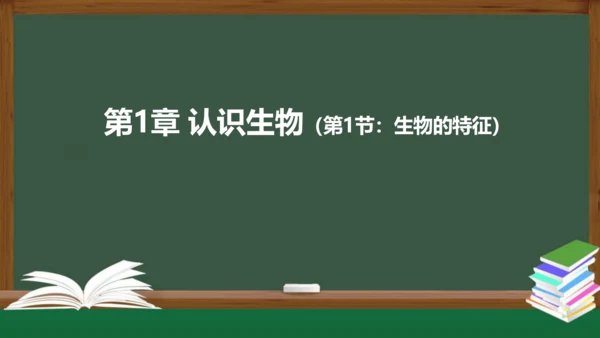 1.1.1 生物的特征 课件（共28张PPT）