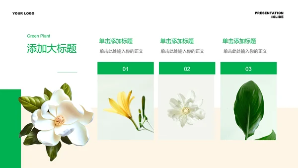 绿色清新植物通用PPT演示模板