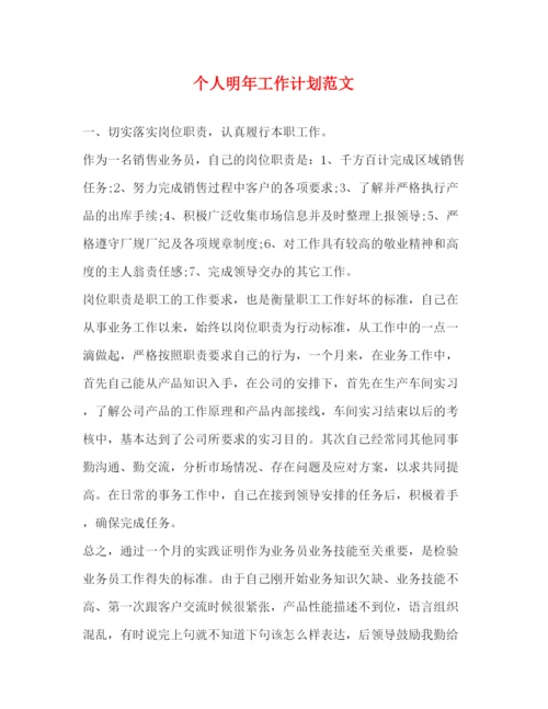 精编之个人明年工作计划范文2).docx