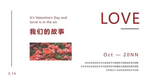 粉色优雅花卉白色情人节PPT模板