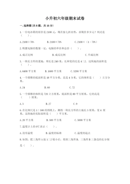 小升初六年级期末试卷精品（典优）.docx