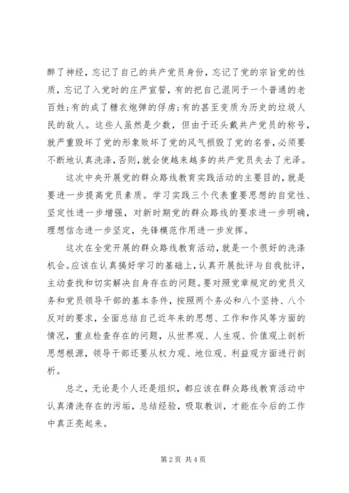 党的群众路线教育实践个人总结.docx