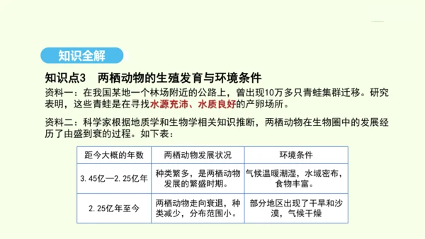 7.1.3两栖动物的生殖和发育课件-人教版生物八年级下册(共29张PPT)