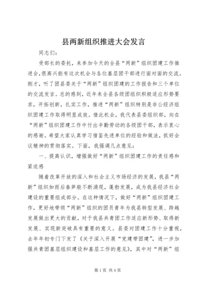 县两新组织推进大会发言.docx