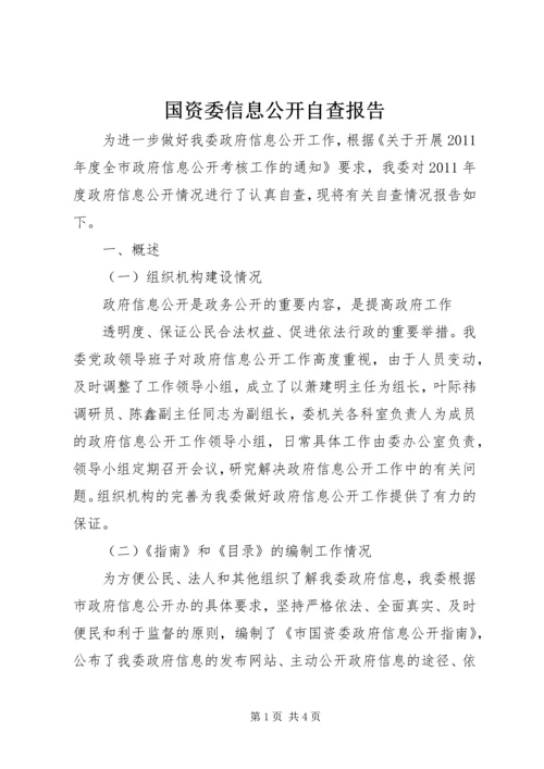 国资委信息公开自查报告.docx