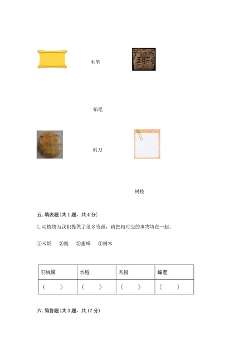 教科版二年级上册科学期末测试卷精品【黄金题型】.docx