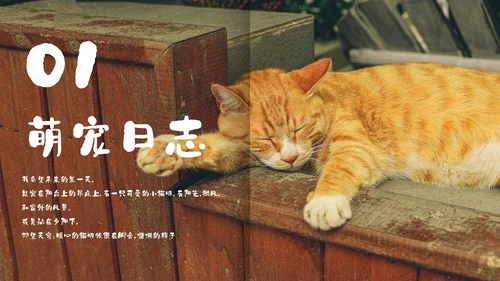 简约宠物萌宠画册电子相册通用PPT模板