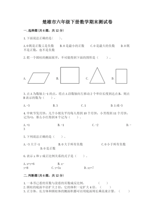 楚雄市六年级下册数学期末测试卷汇编.docx