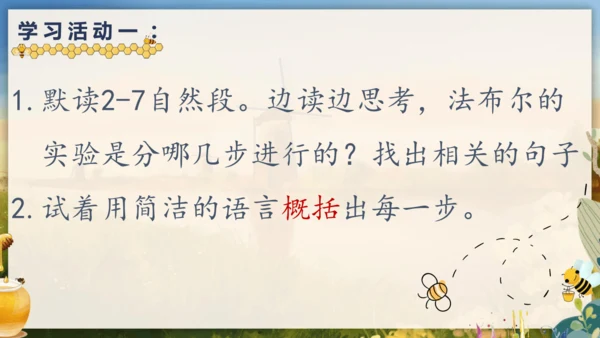 14《蜜蜂》课件