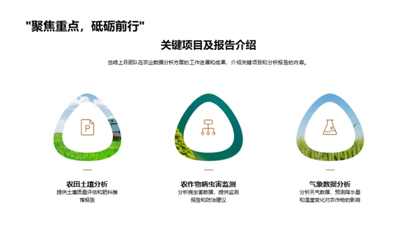 农业数据分析实践