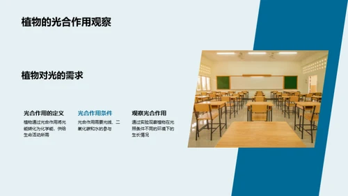 科学实验小探险