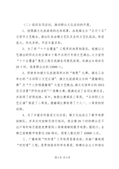 乡镇年度文化全年工作总结.docx