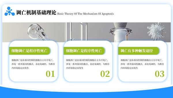 蓝绿色简约风生物学毕业答辩ppt模板