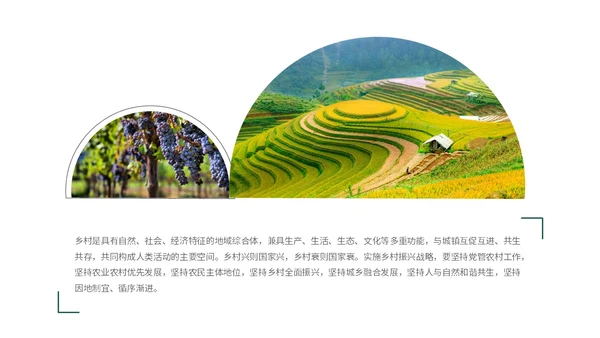 实拍笔刷风格美丽乡村农业介绍新时代农业农村现代化ppt模板