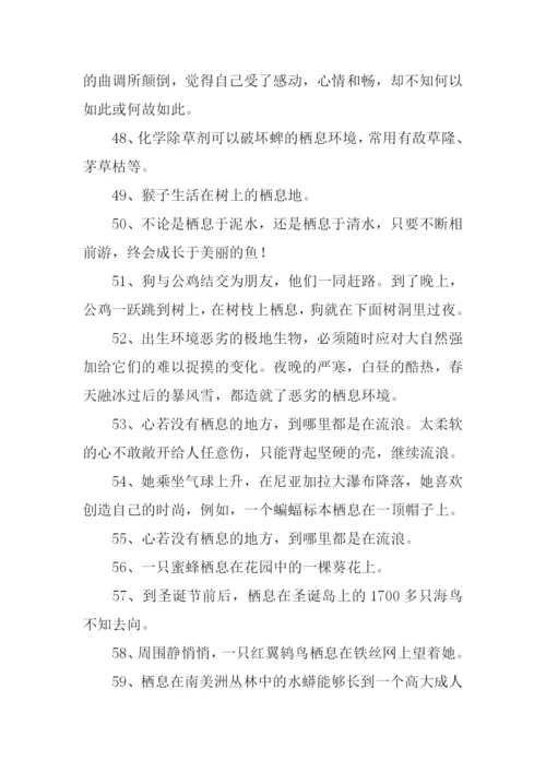 栖息的近义词是什么.docx