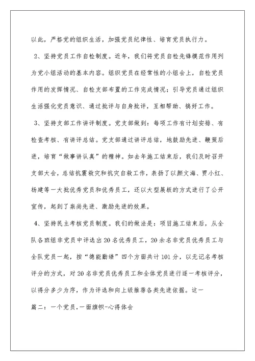 2022《一个党员一面旗》党课PPT课件