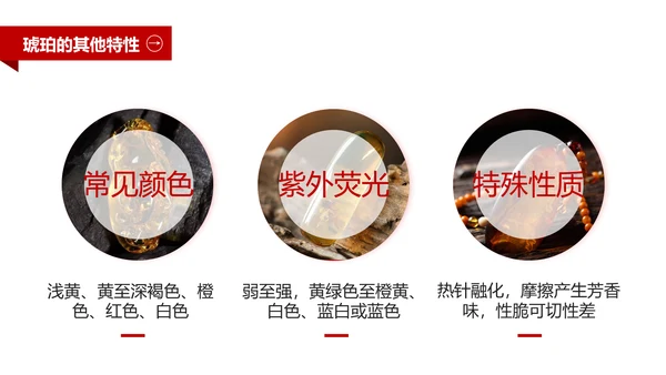 典雅轻奢琥珀藏品专业知识讲座PPT模板