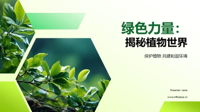 绿色力量：揭秘植物世界