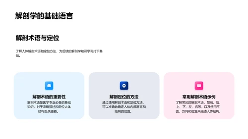 解剖学教学讲座PPT模板