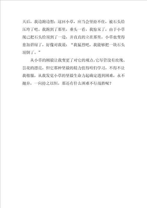 我有一个新发现的作文通用3篇