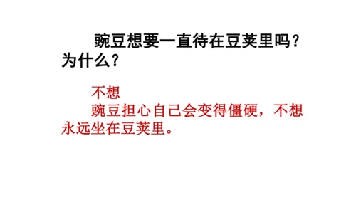 5《一个豆荚里的五粒豆》  课件