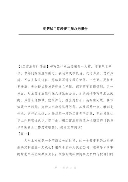 销售试用期转正工作总结报告.docx