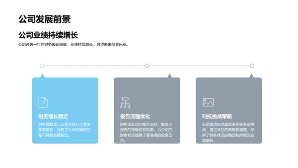 年度财务总结报告