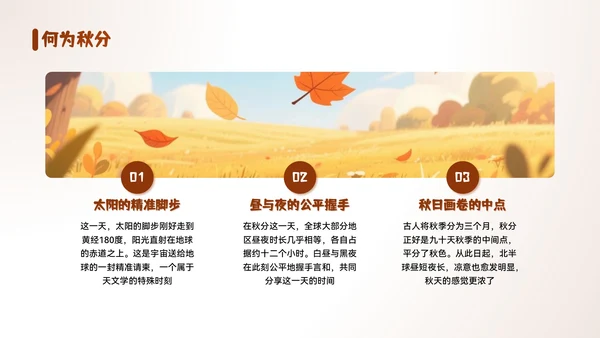 黄色插画风秋分节气PPT模板
