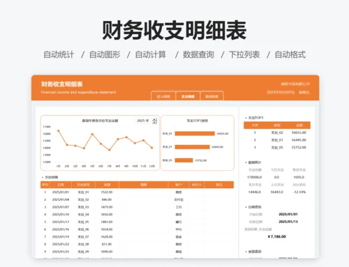 财务收支明细表