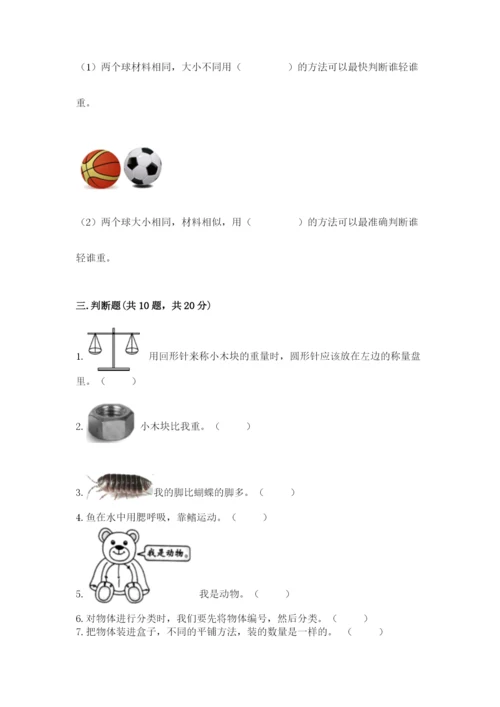 教科版一年级下册科学期末测试卷（实用）word版.docx