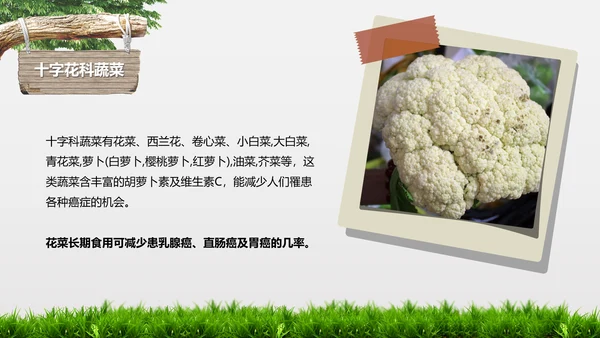 食品安全营养学饮食科普PPT模板