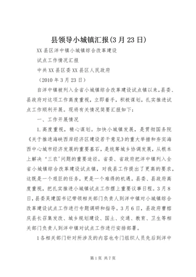 县领导小城镇汇报(3月23日).docx