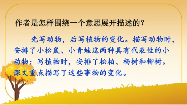 6 秋天的雨   课件