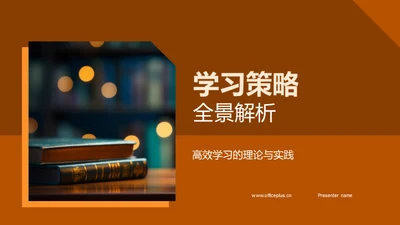 学习策略全景解析