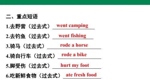 Unit 3　Where did you go？专项复习课件(共67张PPT)