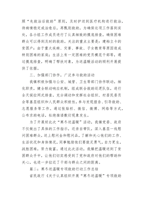 2023寒冬送温暖专项救助行动工作总结五篇.docx