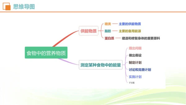 人教七下 生物圈中的人 生物期中复习考点梳理+真题体验（考点全覆盖）(共88张PPT)