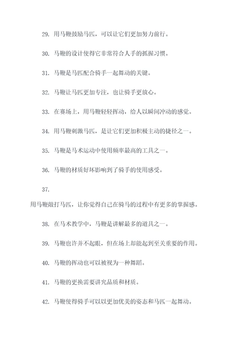 关于马鞭的好词好句