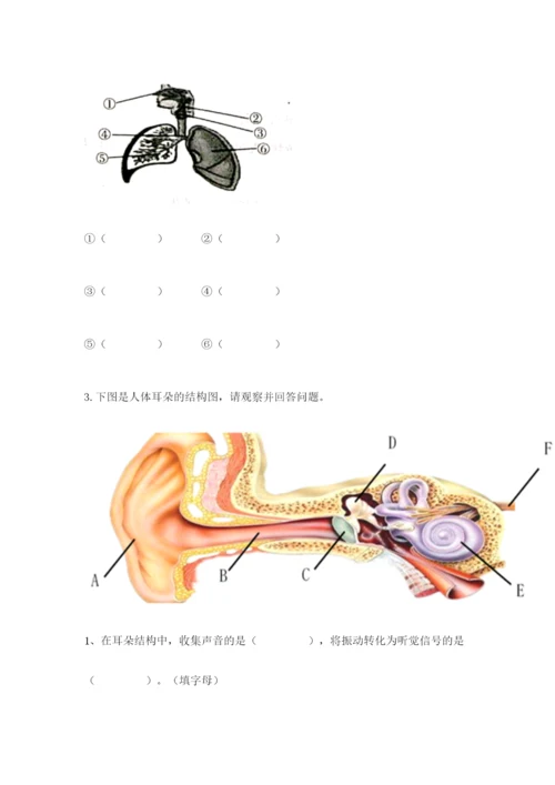 教科版科学四年级上册第二单元《呼吸和消化》测试卷精品（必刷）.docx