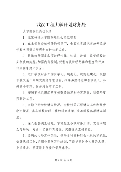 武汉工程大学计划财务处 (3).docx