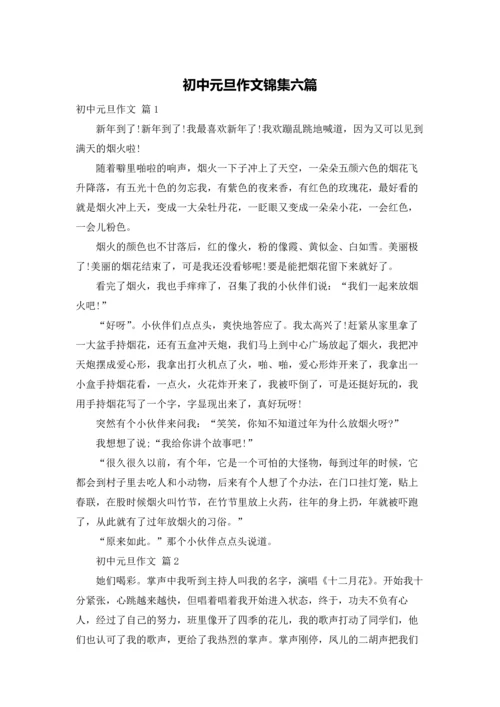 初中元旦作文锦集六篇.docx