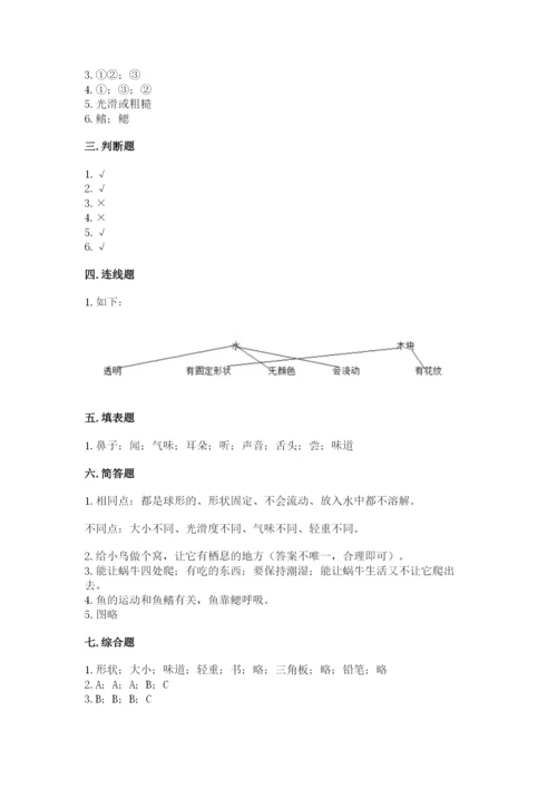 教科版一年级下册科学期末测试卷word版.docx