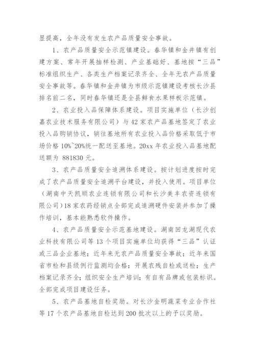 项目支出绩效目标执行监控报告.docx