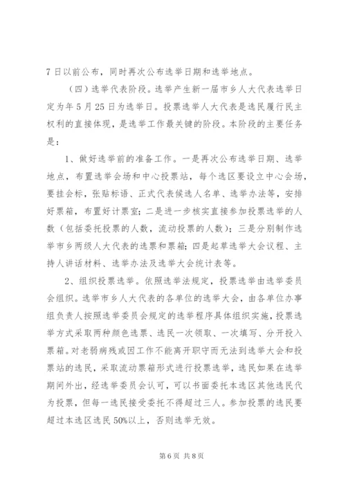 两级人大换届选举实施方案.docx